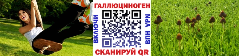 Галлюциногенные грибы Psilocybine cubensis  где купить наркотик  Воткинск 