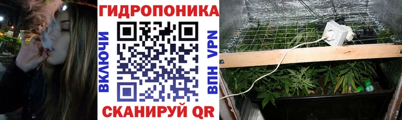 закладки  Воткинск  Шишки марихуана план 